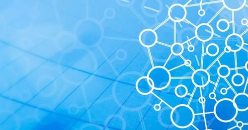 2017年大数据高管调查报告 区块链技术服务崛起与行业融合趋势