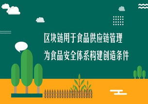 大数据与区块链技术解决食品安全问题的多维路径