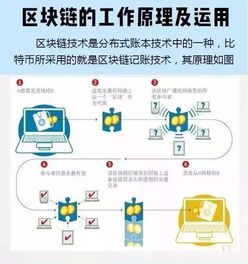 区块链技术一览 图解中心化与非中心化架构的迷雾